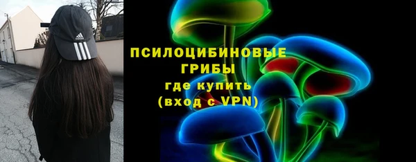 герыч Алексин