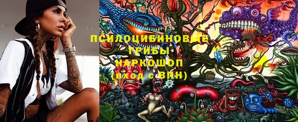 ECSTASY Алексеевка