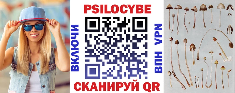 Галлюциногенные грибы мухоморы  где можно купить наркотик  omg онион  Сураж 